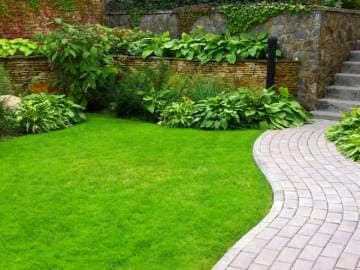 Artificial Grass Artificial Grass